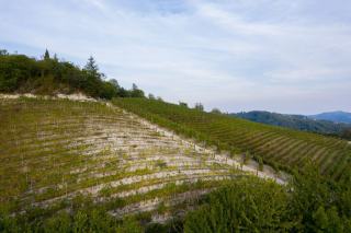 Vieillir un vin artificiellement : ce qui est possible